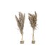 Dekorativ vxt DKD Home Decor PVC Fjdrar Naturell 35 x 25 x 55