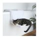 Kattsng Trixie