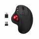 Trackball Mobility Lab ML313276