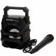 Bluetooth Hgtalare med Karaoke Mikrofon Colorbaby