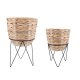 Krukvxt med stllning Vinthera Moa Beige Metall Vattenhyacint 2