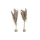 Dekorativ vxt DKD Home Decor PVC Fjdrar Naturell 35 x 25 x 55