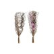 Bunt DKD Home Decor Rosa Brun Vit Torkad blomma (2 antal) (30 x