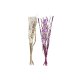 Bunt DKD Home Decor Rosa Lila Vit Torkad blomma (30 x 30 x 100 c