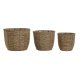Set med planteringskrl Home ESPRIT Brun Fibrer Tropiskt 31 x 31