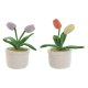 Drrstopp Home ESPRIT 14 x 14 x 30 cm (2 antal)