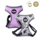 Hundsele Disney XXS/XS Gr