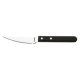 Knivset Amefa Sg Metall Rostfritt stl 12 antal (21,2 cm)
