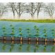 Nt Nature Grn 1 x 25 m
