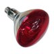 Infrard gldlampa Philips 923212043801 250 W E27